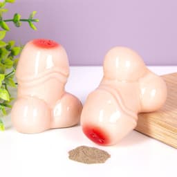 Zout- en peperstrooierset – Penis design – Set van 2 – Keramiek – Inclusief giftbox – Compact formaat 4 x 2,5 x 7 cm – Humoristisch cadeau voor vrijgezellenfeesten, diners of feestjes — thumbnail 1