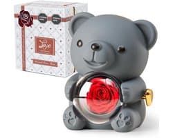 Romantische beer met geconserveerde roos en elegante geschenkdoos - Perfect cadeau voor Valentijnsdag, Moederdag en bruiloften