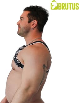 BRUTUS Vegan Bulldog Harness Black-White L/XL — thumbnail 3