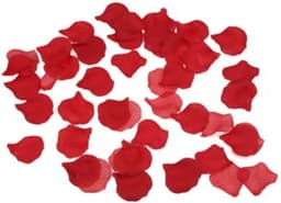 DIVERTY SEX - 100 Petals Red — thumbnail 1