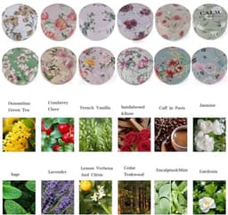 12 Stuks Geurende Kaarsen Set voor Vrouwen - Natuurlijke Bloemengeur voor Decoratie en Cadeaus — thumbnail 3