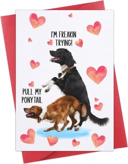 Grappige Valentijnskaarten voor Hem en Haar - Naughtiest Gift Ideas voor Stellen — thumbnail 1