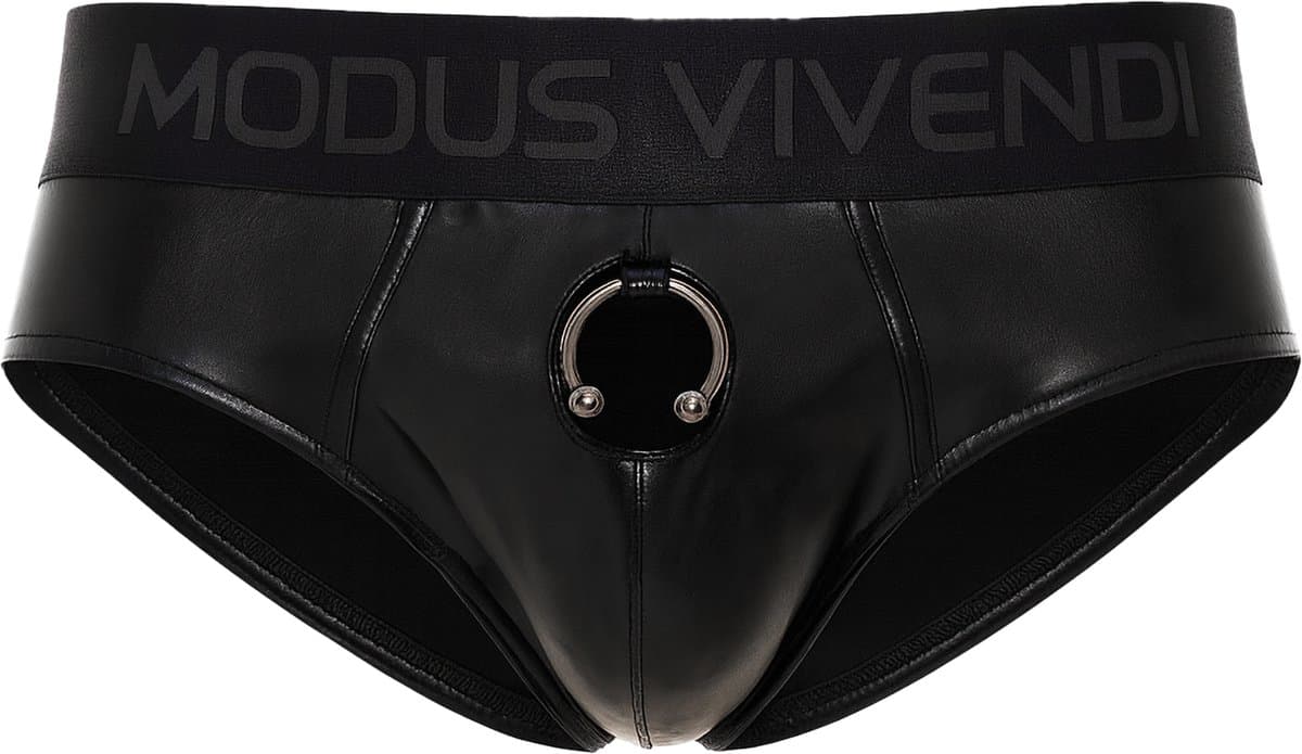 MODUS VIVENDI Prince Albert Classic Brief - MAAT M - Erotisch Heren Ondergoed - Slip voor Man - Sexy mannen Slip — afbeelding 1
