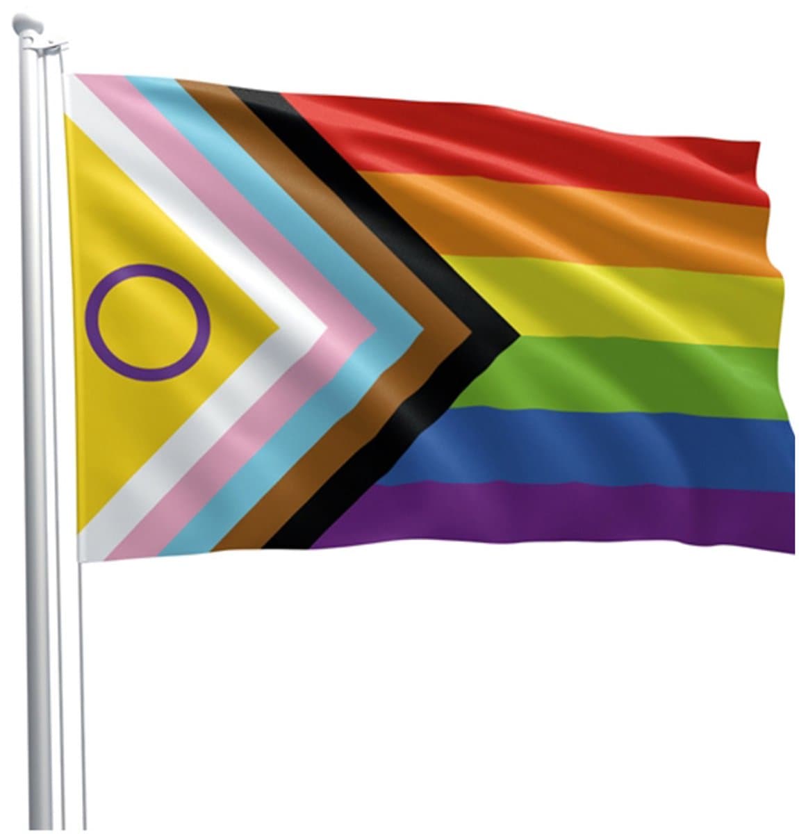 Mister b intersex progress pride flag 90 x 150 cm — afbeelding 1