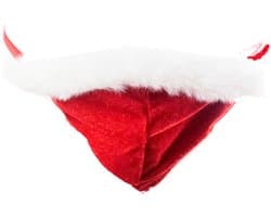 BamBella ® - string bongage - maat Onesize S M L - Sexy slip erotische onderbroek valentijnsdag kerst rood groen doorzichtig rollenspel kleding voor mannen