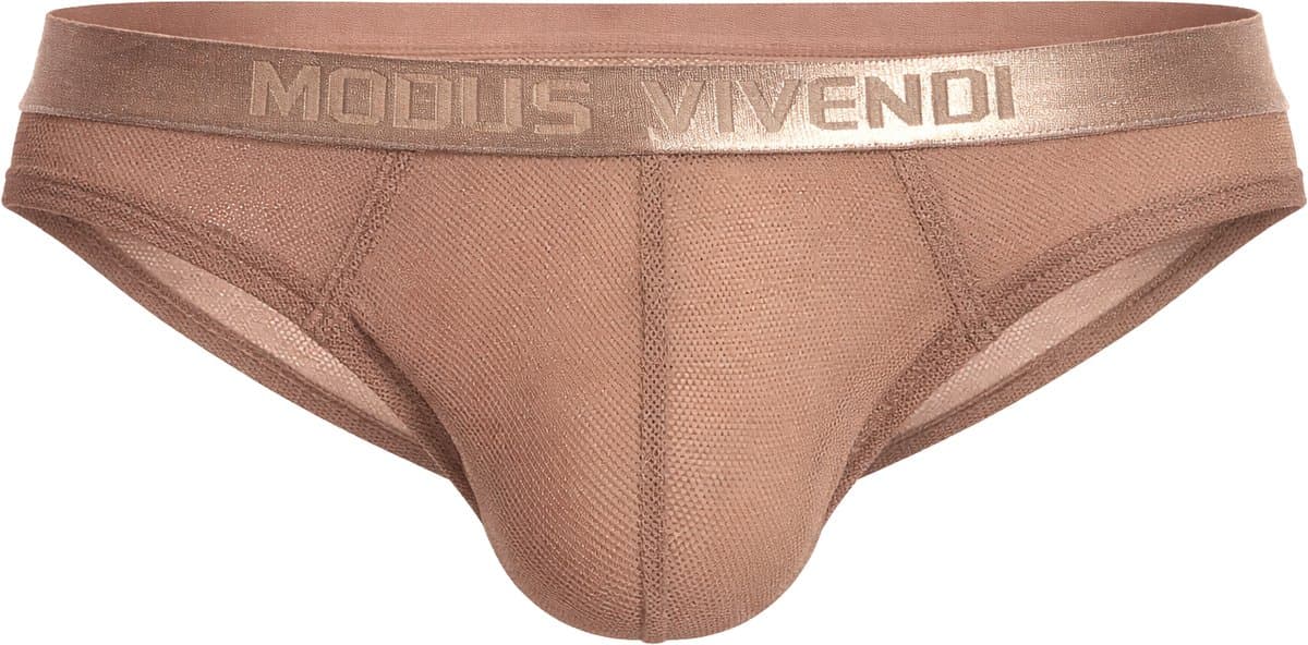 MODUS VIVENDI Mesh Through Classic Brief Skin - MAAT L - Erotisch Heren Ondergoed - Slip voor Man - Sexy mannen Slip — afbeelding 1